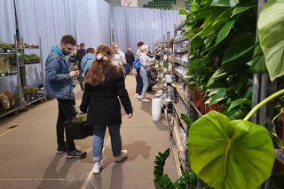 Bydgoszcz rozkwitła zielenią w Łuczniczce. Tak było na Festiwalu Roślin