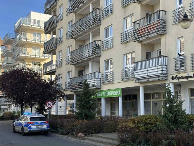 Tragedia w Poznaniu! W mieszkaniu znaleziono zwłoki ojca i syna