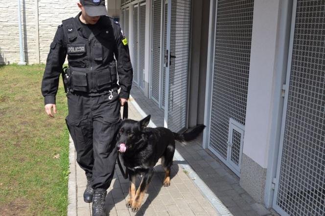 Epan przechodzi na emeryturę po 10 latach służby w jarosławskiej policji