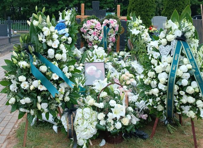 Rąbnęli w łosia, osierocili synka