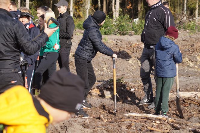 Wielkie sadzenie drzew pod Bydgoszczą! Tak powstaje las 