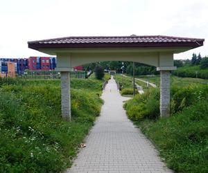 Lublin. „Filary porośnięte bluszczem” i nie tylko. Park Jana Pawła II w lipcowej odsłonie