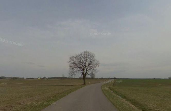 Wylągi - najmniejsza dzielnica w Śląskiem