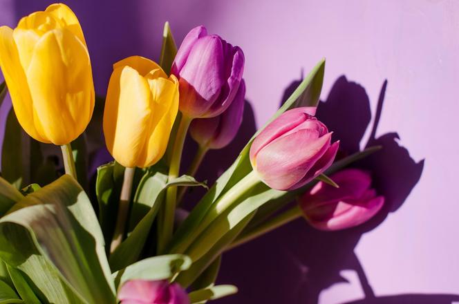 Znaczenie i symbolika kwiatów - jakie kwiaty wybrać na Dzień Kobiet