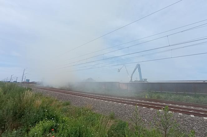 W Przysiece Polskiej znów się pali. Niespełna 24h po zakończonej akcji gaśniczej poprzedniego pożaru, nad składowiskiem odpadów znowu unosi się dym