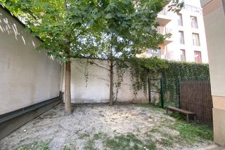 Ogród w szpitalu św. Ludwika w Krakowie