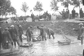 Chętnie jadali go królowie Polski. Małopolskiego karpia znajdziemy nawet w Wikipedii