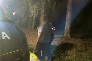 Ze strachu przed zwierzętami zrzucił sandały i wskoczył na drzewo! Spędził tak 8 godzin