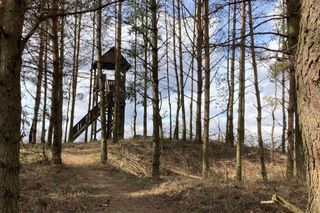 Tam jest najpiękniejsza wieża widokowa w Podlaskiem według AI. Tylko tu zobaczysz region w pełnej krasie