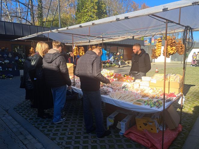 Cukierki i zabawki przy cmentarzu Rakowickim w Krakowie na Wszystkich Świętych 2024