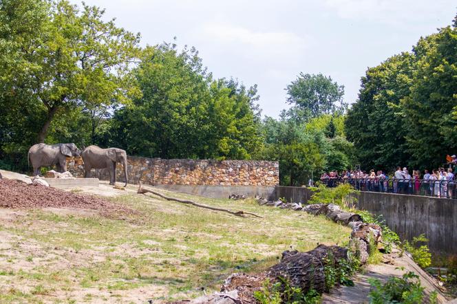 Warszawskie Zoo Safari