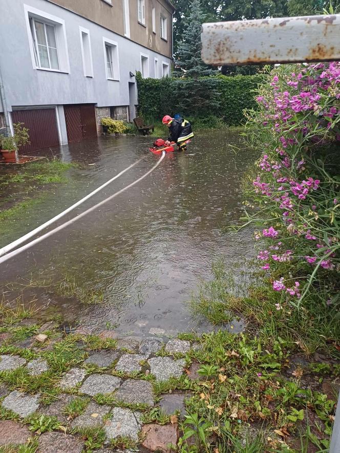 Burze i nawałnice przeszły nad Polską. Strażacy podali miażdżące dane