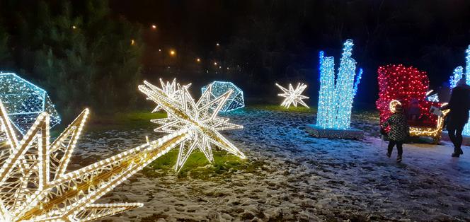 Lumina Park w Ogrodzie Botanicznym UMCS w Lublinie