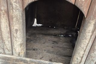 Dramat w Pruszkowie. Przetrzymywał zwierzęta w skandalicznych warunkach. Właściciel próbował się ich pozbyć