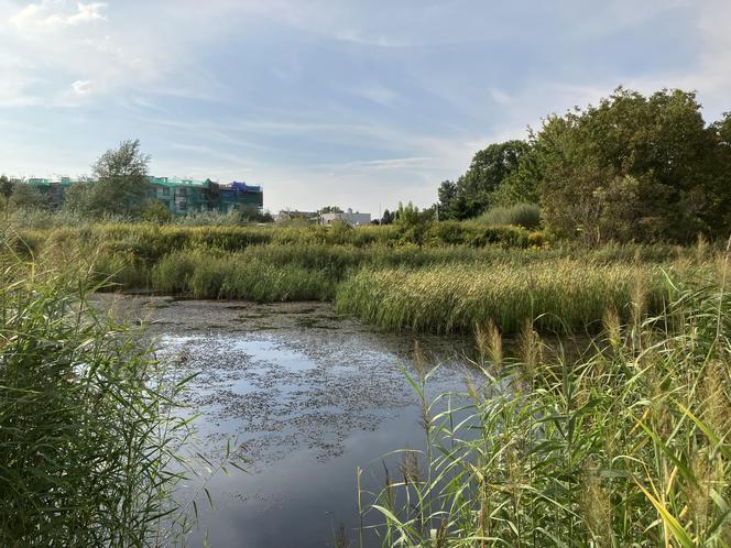 Siekierki i Augustówka