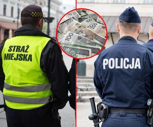 16 tys. miejsc pracy dla policjantów i strażników miejskich 