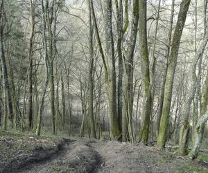 Ten wyjątkowy obiekt na Mazurach ma ponad 2 tysiące lat. Jest regularnie dewastowany