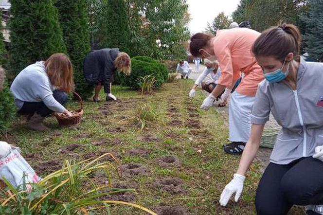 Pola Nadziei w cieniu pandemii. Hospicjum św. Łazarza prosi o datki do wirtualnej puszki