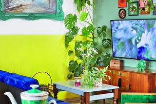 Vintage z temperamentem – feeria barw