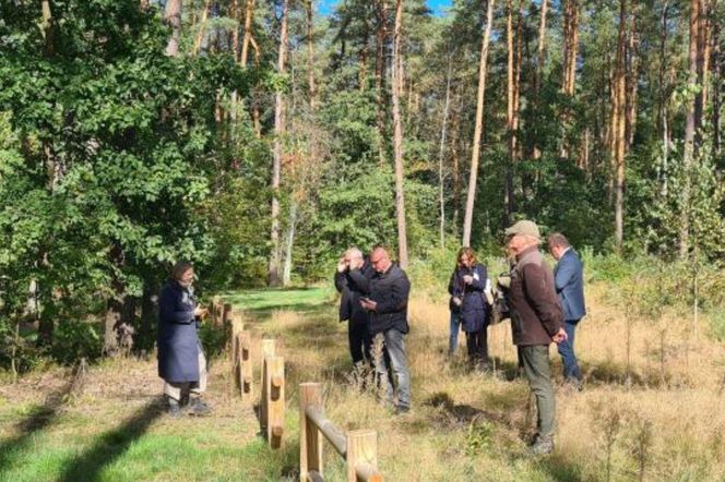 Powstaje miejsce pamięci na Mazurach. To tam odkryto prochy więźniów obozu koncentracyjnego Soldau