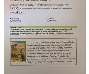 Egzamin ósmoklasisty: język polski 2025. ODPOWIEDZI i ARKUSZE CKE [13.05.2025]
