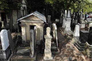 Niezwykłe wykopaliska na cmentarzu żydowskim! Pierwsze takie w Polsce od czasów wojny