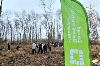 Posadzili prawie 3 tysiące drzew w Krakowie. Zniszczone uroczysko wraca do życia
