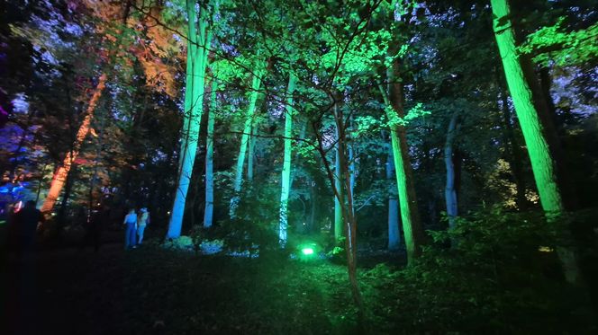 Olsztyn zamienił się w magiczną krainę. Park Świateł przyciągnął tłumy!