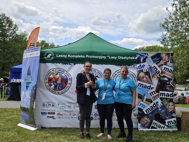 Festiwal Przyjaciół Zwierząt w Olsztynie. Park Centralny opanowały radosne pieski