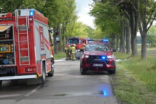 Zwęglone zwłoki w elektrycznym oplu. Samochód uderzył w drzewo i stanął w płomieniach