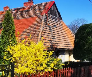 Giszowiec, osiedle - ogród w Katowicach