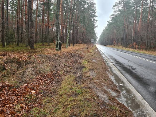 Zakręt śmierci w Jamnicy zabrał kolejne młode życie