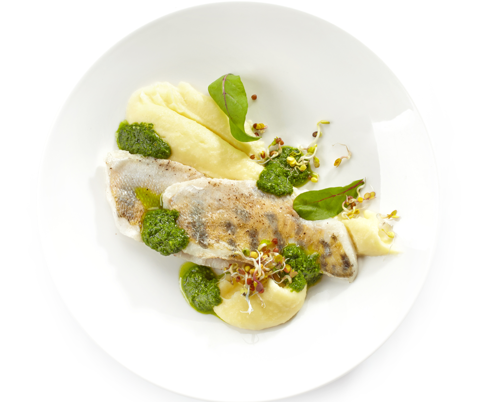 Sandacza można przygotować na wiele sposobów, nadaje się do pieczenia, duszenia, gotowania, smażenia czy faszerowania.