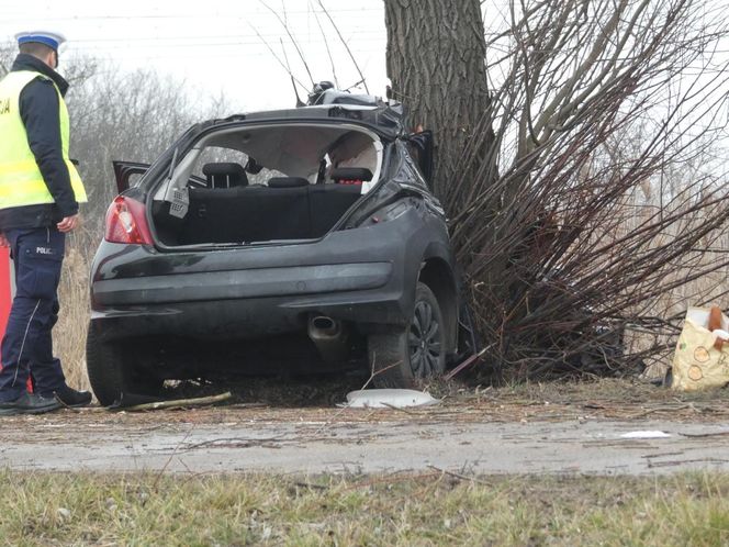 Poważny wypadek pod Warszawą. Malutki peugeot uderzył w drzewo. Nie żyją dwie osoby