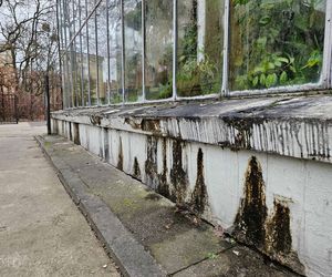 Palmiarnia Poznańska czeka na przebudowę