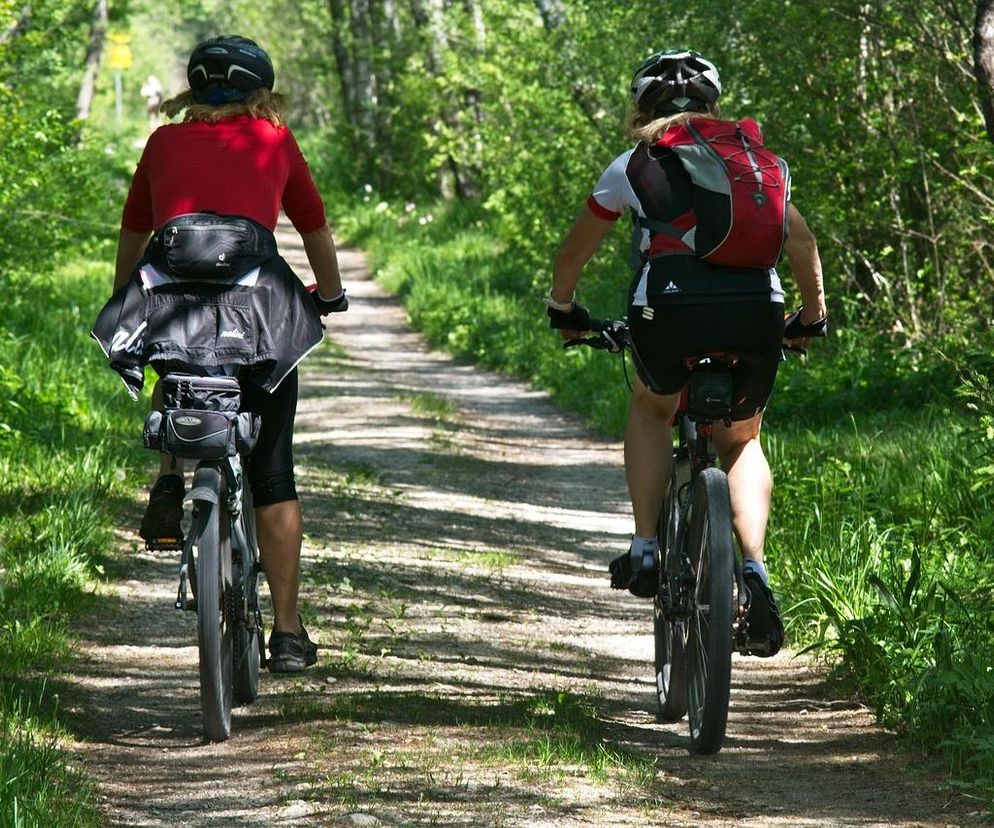 Ścieżka rowerowa z Radomia do Siczek coraz bliżej realizacji. MZDW wkrótce podpisze umowę z wykonawcą