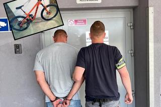 Kradziony rower za 46 tys. zł w podkrakowskiej dziupli! To niejedyne nielegalne znalezisko