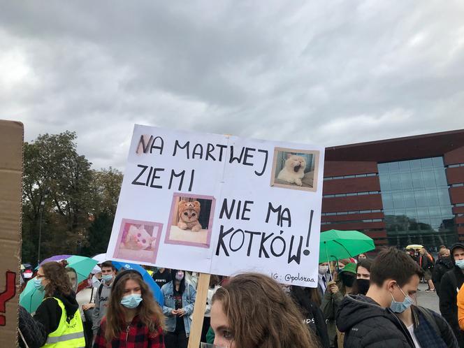 młodzieżowy strajk klimatyczny