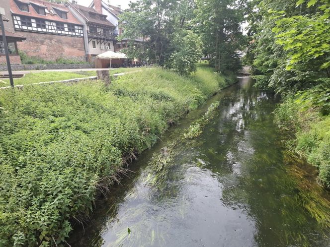 W tym mieście poczujesz się jak w Wenecji. Włoski klimat na północy Polski