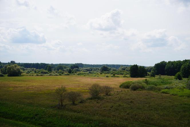 Podlaska Atlantyda, czyli Zalew Siemianówka i okolice