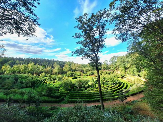 Arboretum Bramy Morawskiej zachwyca jesienią