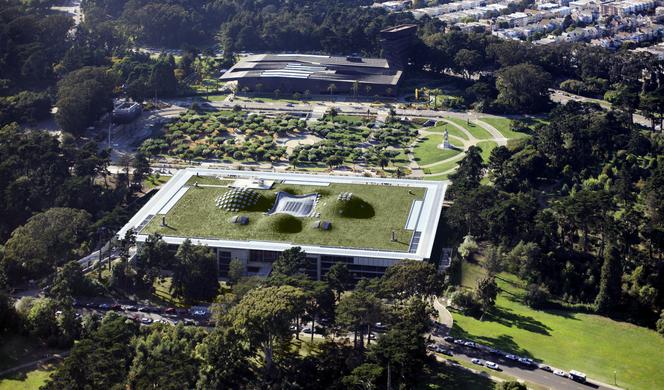 Budynek California Academy of Science: połączenie przyrody z architekturą