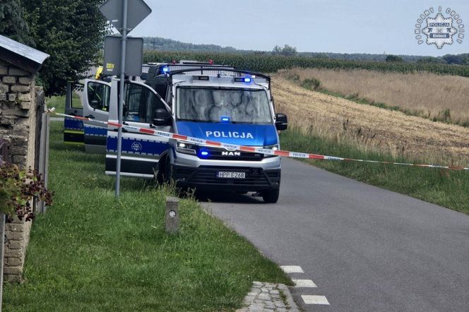 Radiowozy na drodze przy polu pod Kłobuckiem, odgrodzone biało-czerwoną taśmą. O akcji służb przeczytasz na Eska Śląskie.