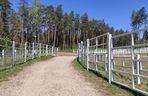 Zagroda Pokazowa Żubrów w Kopnej Górze. Unikalne miejsce na mapie Podlasia