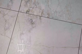 Metamorfoza kinoteki w Warszawie