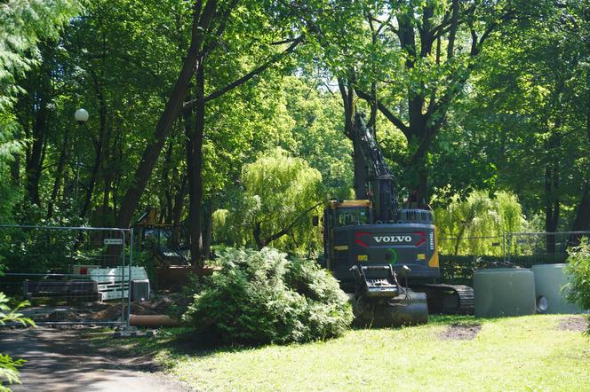 Rewitalizacja Parku Planty. Tak wyglądają majowe prace w centrum Białegostoku