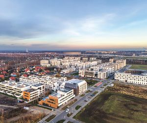 Nowe Żerniki