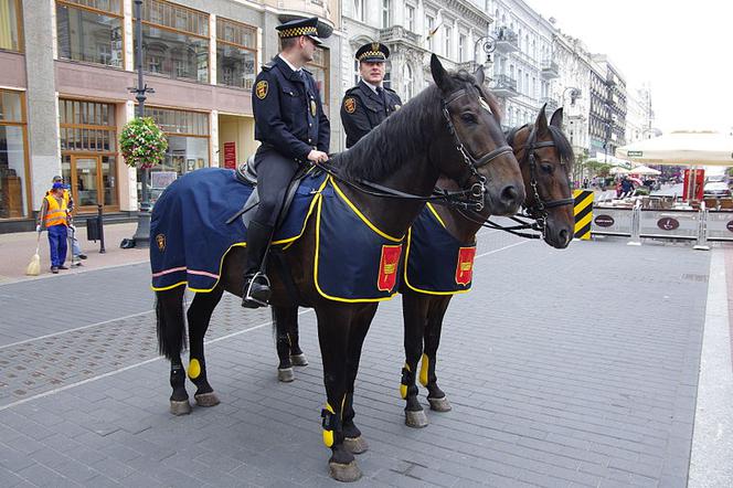 Patrol straży miejskiej w Łodzi - sekcja konna