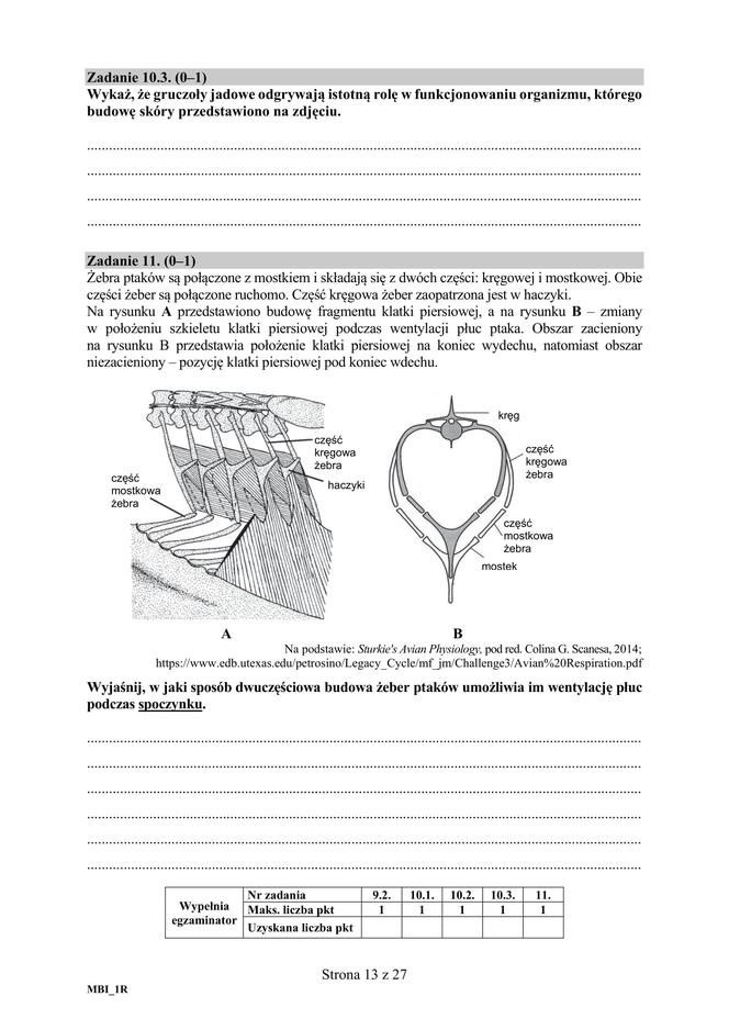 Matura 2018 z biologii [ARKUSZE CKE, ODPOWIEDZI]