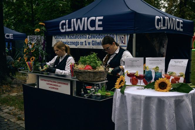 Agnieszka Chylińska, Oskar Cyms i inni. Tak świętowano Dni Gliwic
